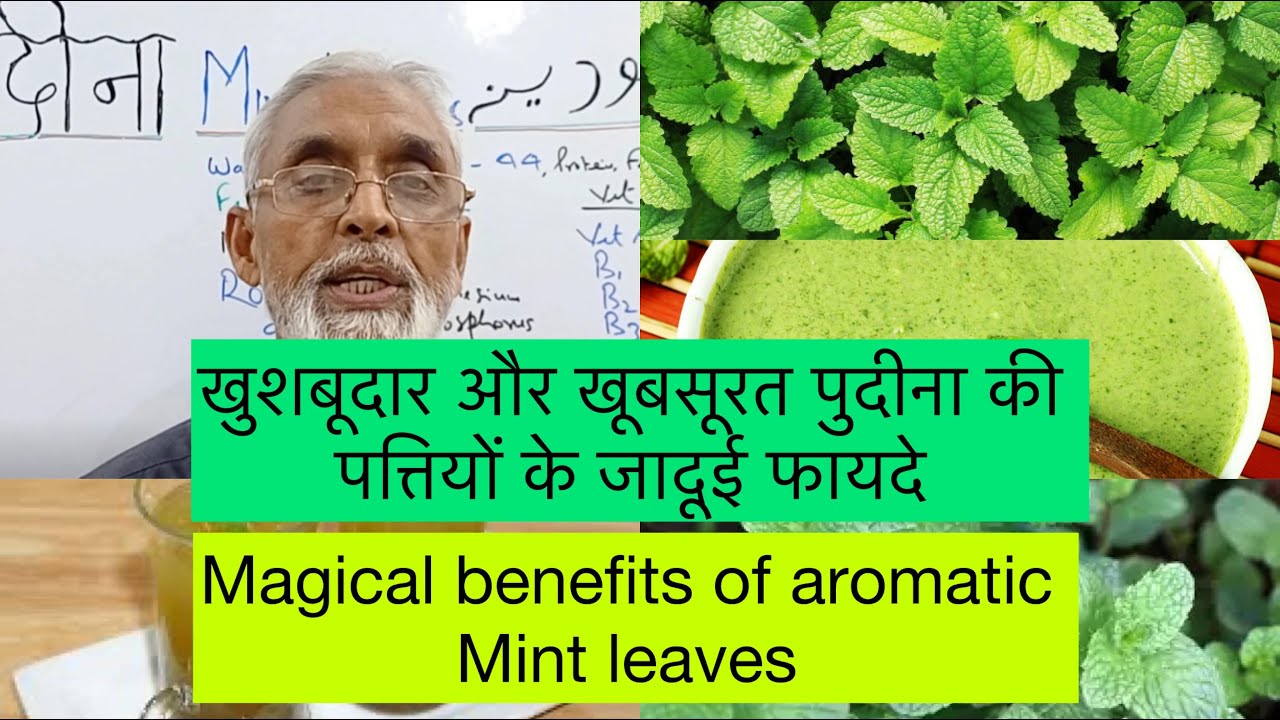 खुशबूदार और खूबसूरत पुदीना की पत्तियों के जादूई फायदे | Magical benefits of aromatic mint leaves.