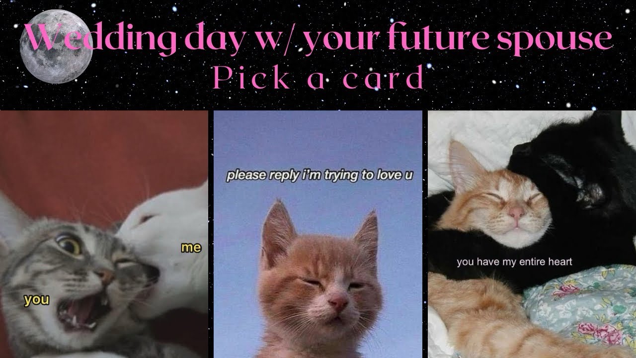 Your wedding day with your future spouse!!!!💍❤️🍫 timeless tarot pick a card reading