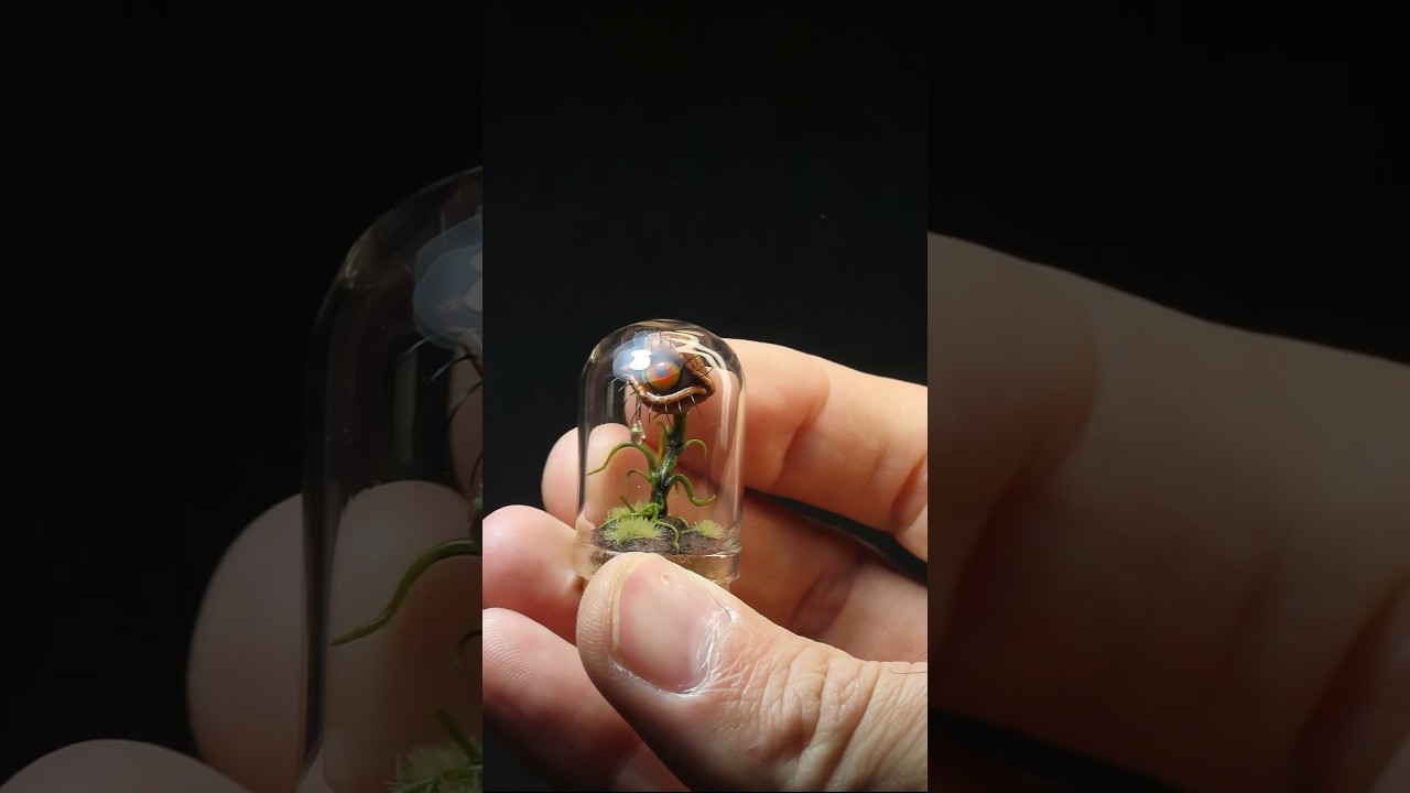 The Weeping Bloom 👁 🪴 ...#tinythings #polymerclay #diorama #halloween #spookyseason #spooktober