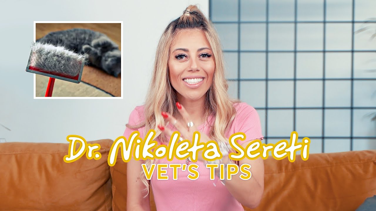 Vet tips - Τριχόπτωση και κατοικίδιο - TOP 4 TIPS