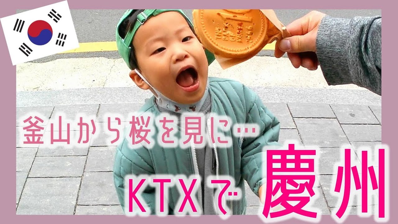KTXに乗って慶州(キョンジュ)に桜を見に行ったのに？！の巻き【韓国在住・日韓夫婦・한일부부】