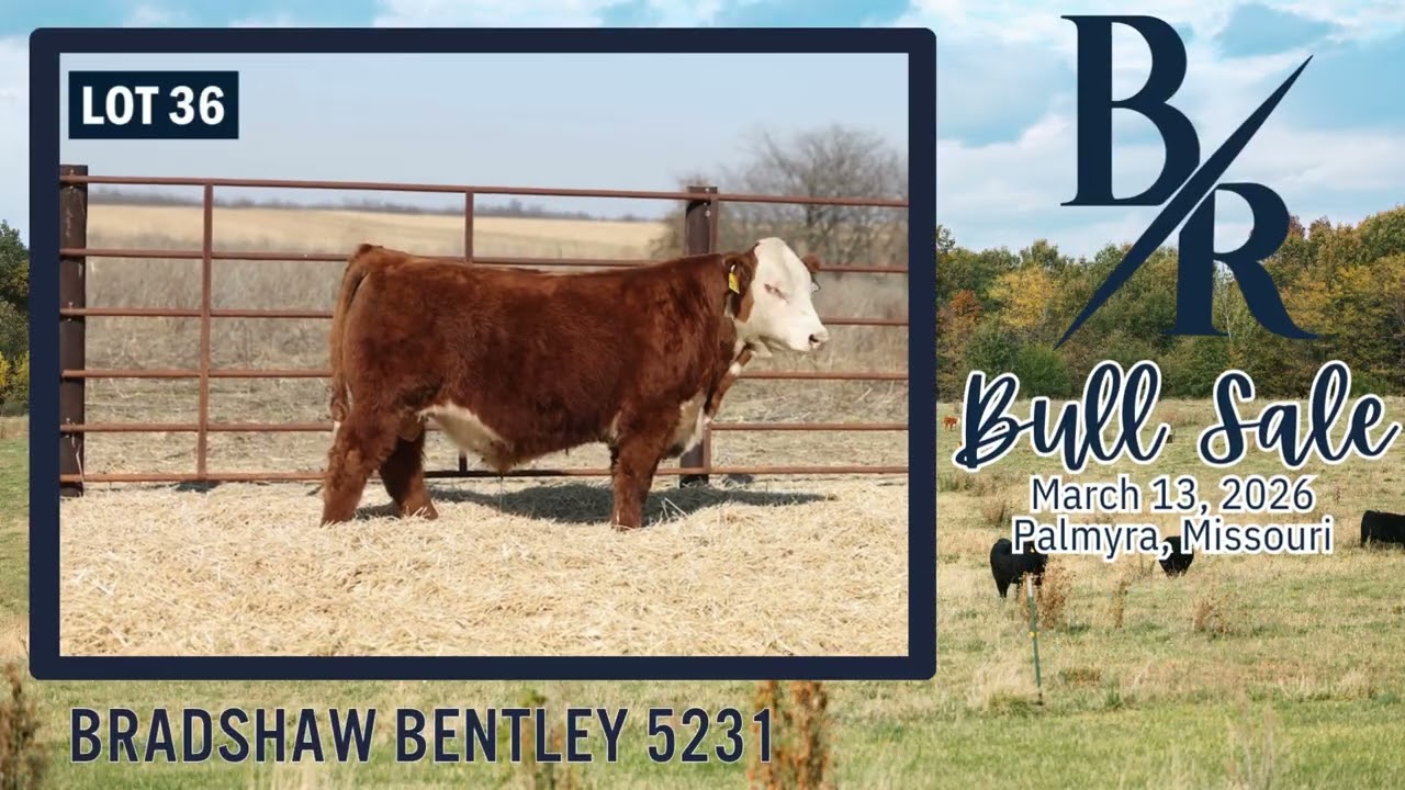 Bradshaw Ranch | March 13, 2026