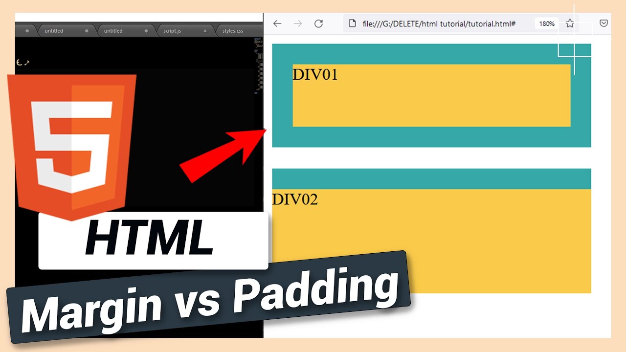 Difference Between Margin and Padding | HTML and CSS Tutorial