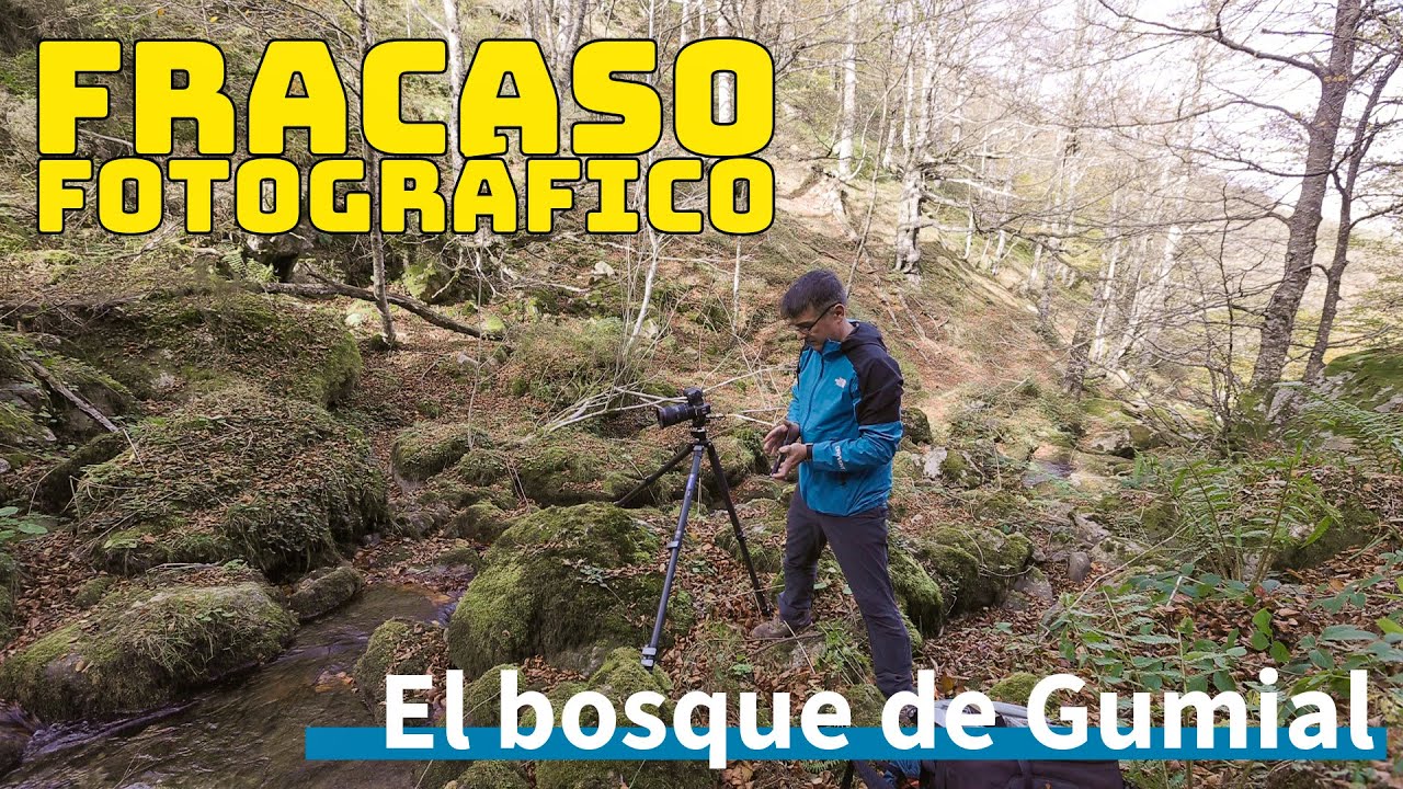 Fracaso fotográfico en el Bosque de Gumial. #fotografía #landscapephotography #paisaje