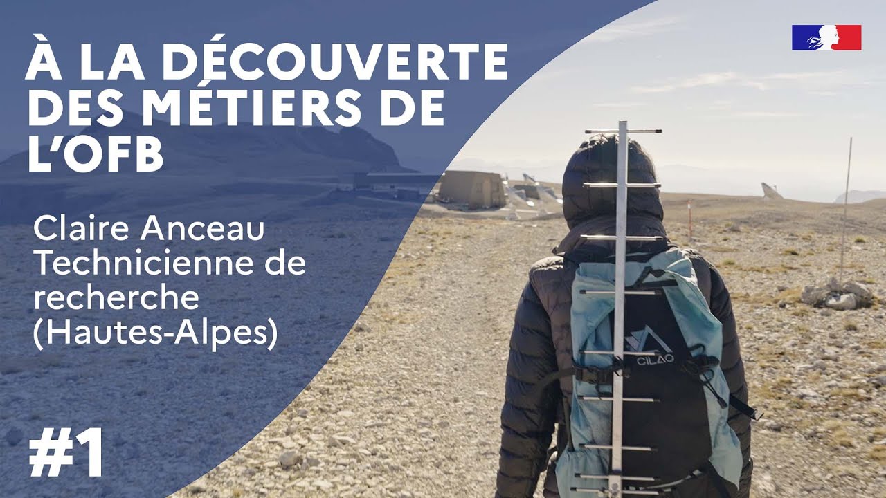 À la découverte des métiers de l'OFB : Claire Anceau, technicienne de recherche