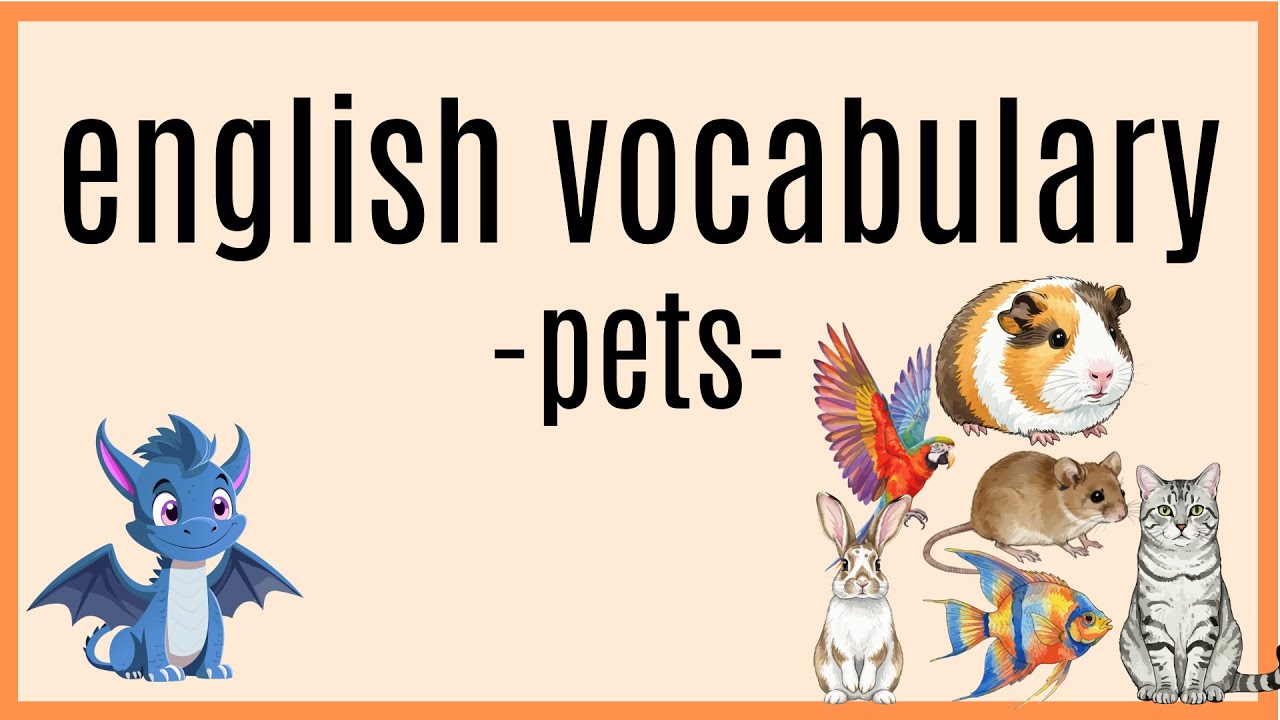 🐹🐶Haustiere - pets🐰🐈 // english vocabulary // Haustiere im Englischen 🇺🇸🇬🇧