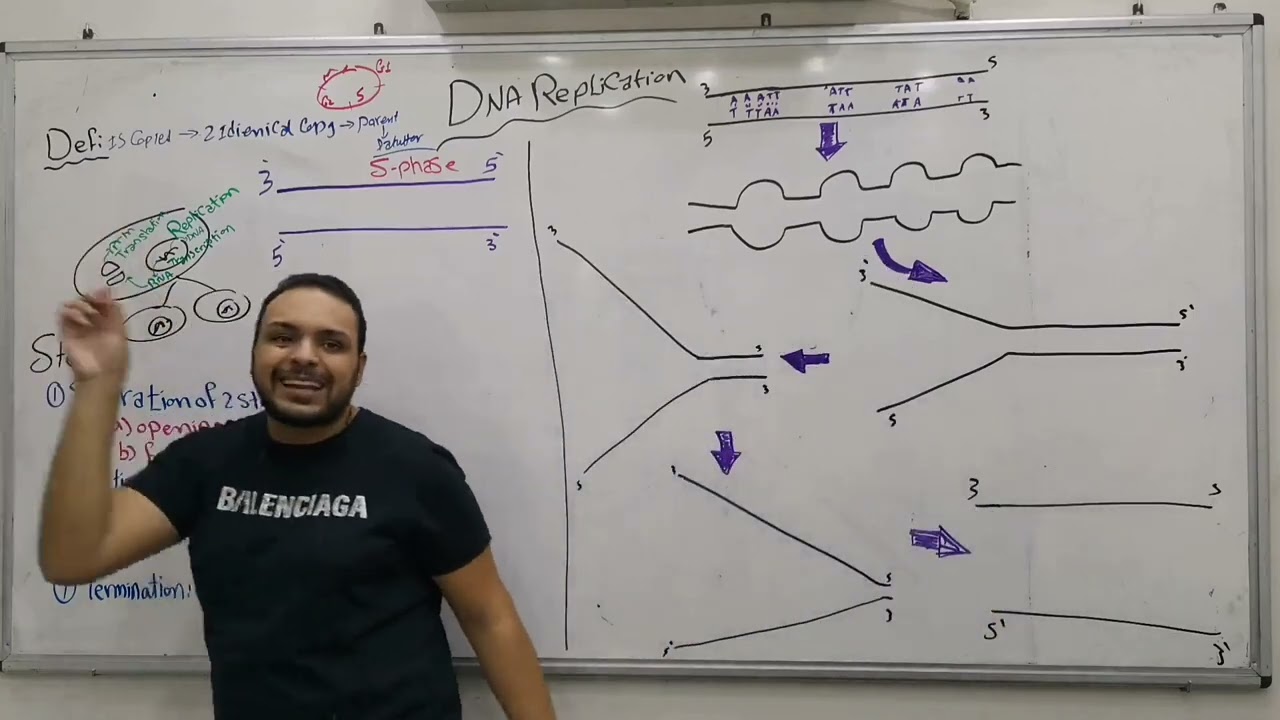 DNA Replication القصر 197