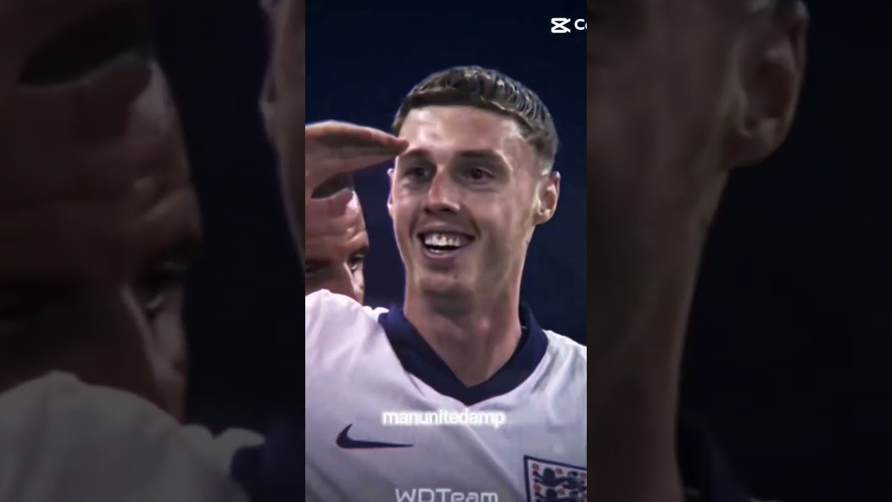 Chippy Chips edit 🥶🏴󠁧󠁢󠁥󠁮󠁧󠁿