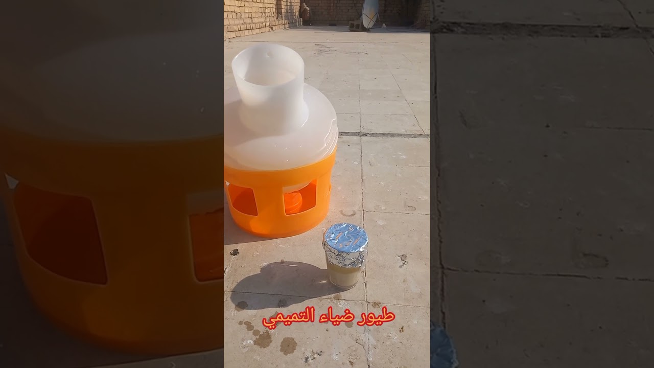 كيفية استخدام الخميرة للطيور بعد كورسات العلاج او بعد استخدام الخل