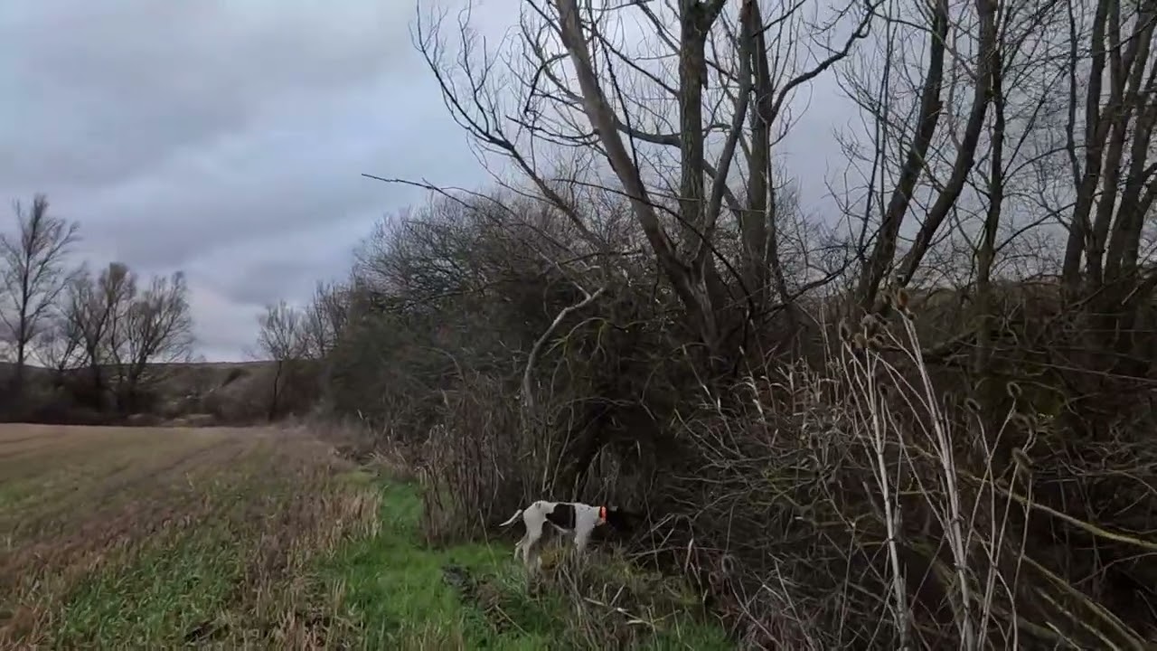 unknown