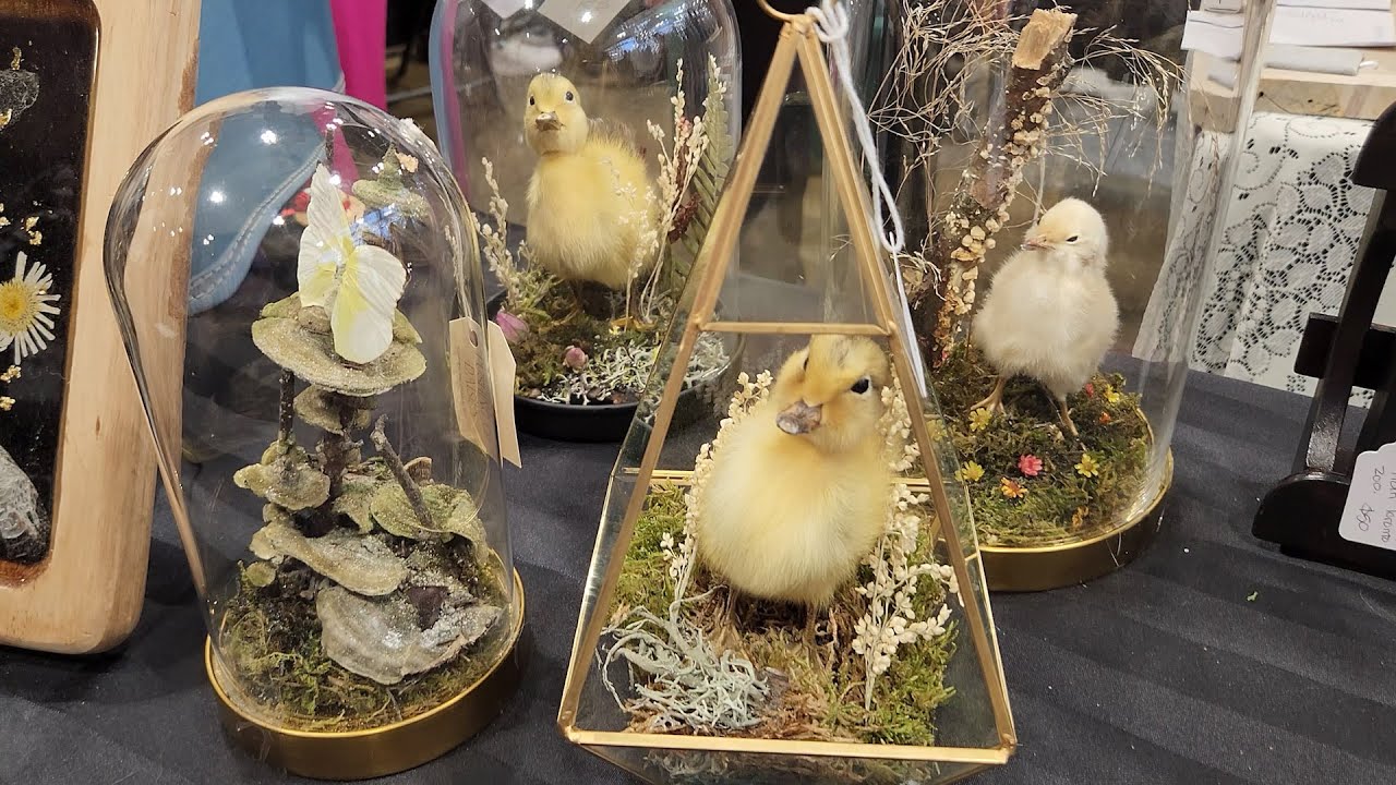 Toronto Oddities & Curiosities Expo 2024: самый жуткий тур!