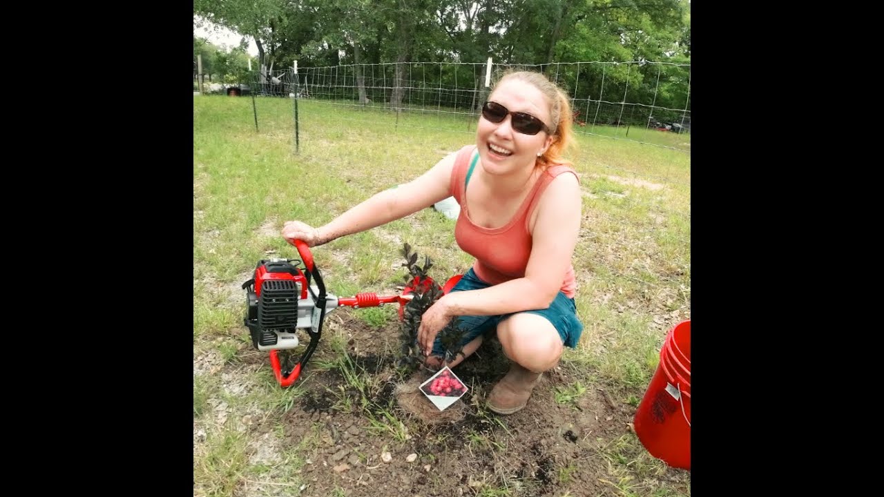 Reviewing my Auger-  Earthquake E43 1-Person 43cc 2-Cycle Viper Engine 30:1 Transmission