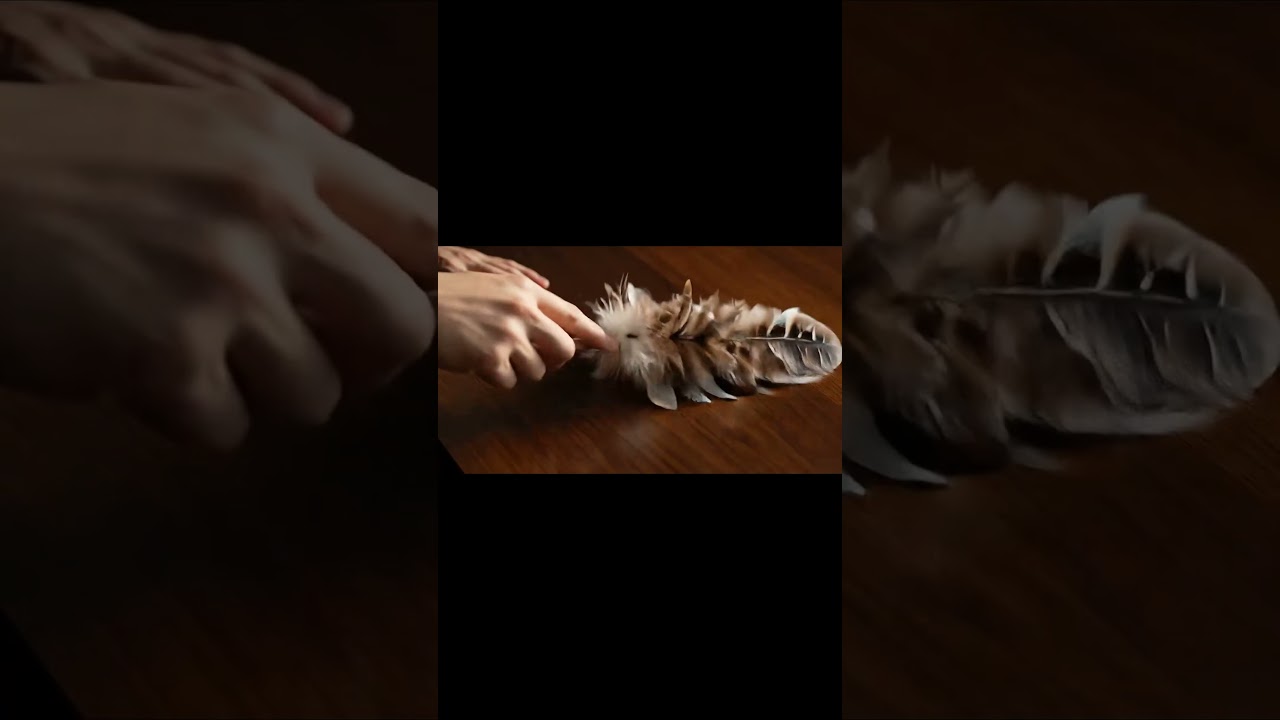 ASMR Feather Duster: Atmospheric Tech for Calm 🌬️