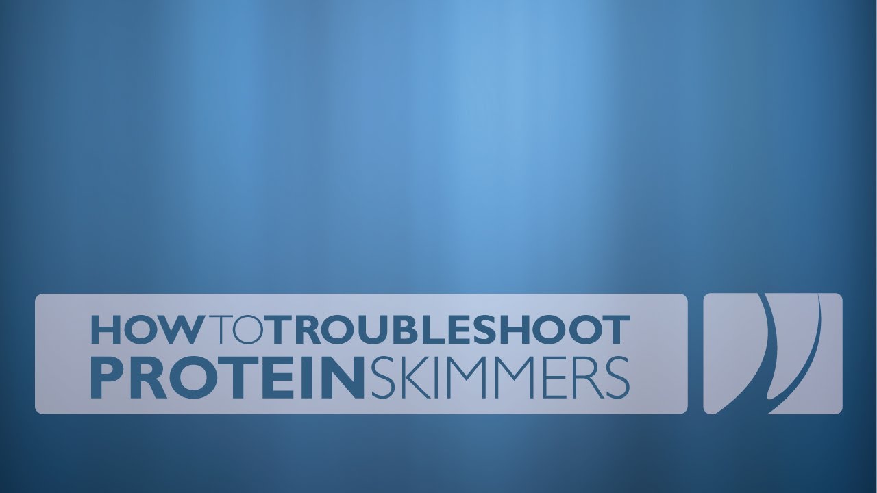 Troubleshooting Protein Skimmers