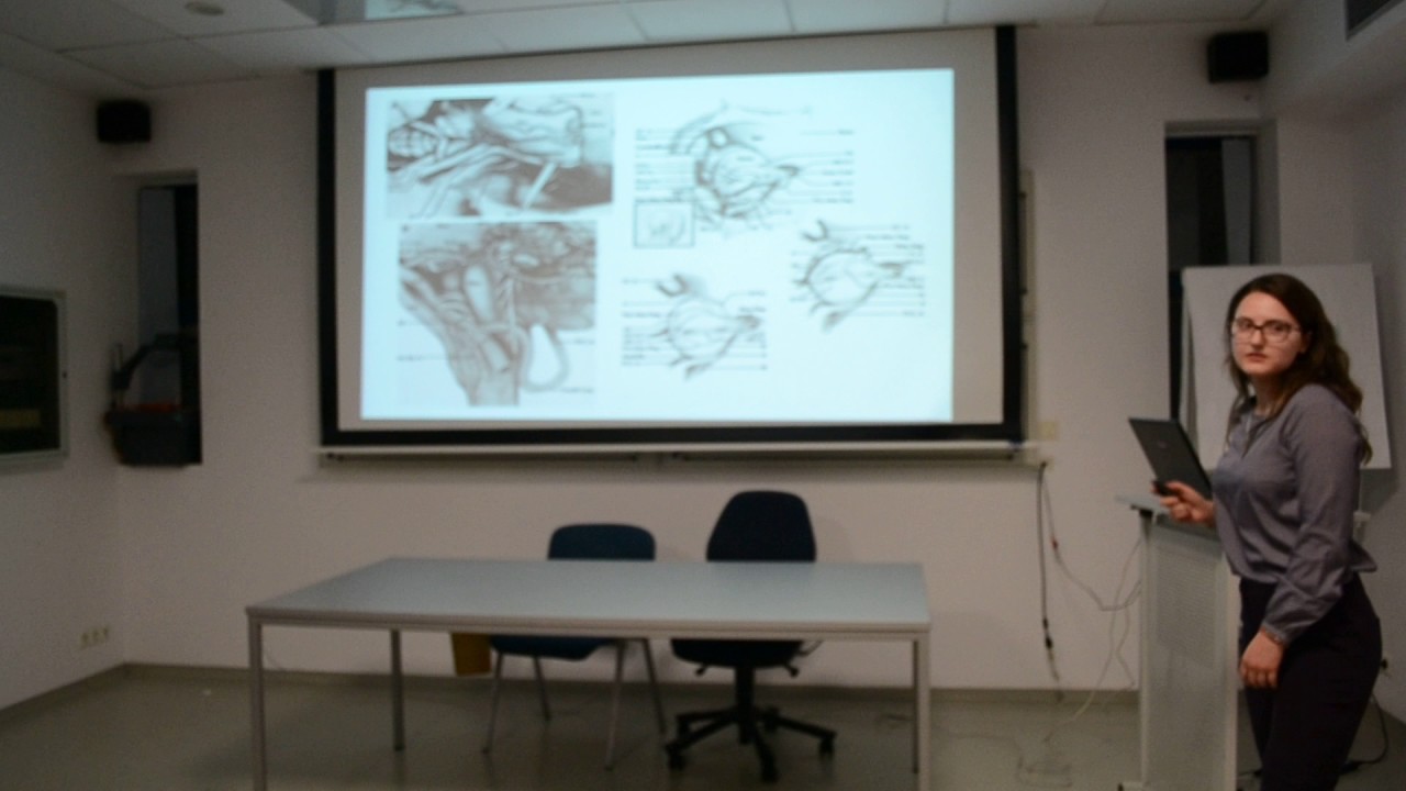 The retrosigmoid approach to the CP angle & other approaches - stud. Elena Nestian (1)