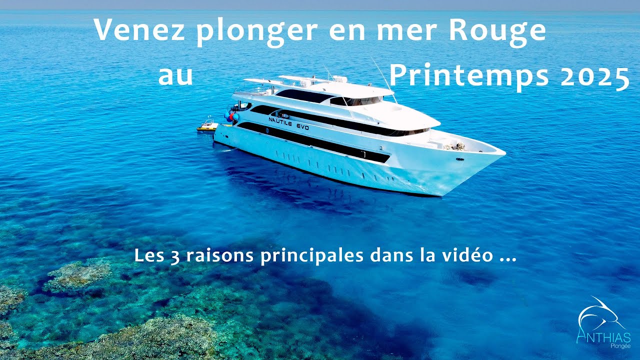 Venir en Egypte au Printemps 2025 - Anthias-Plongée