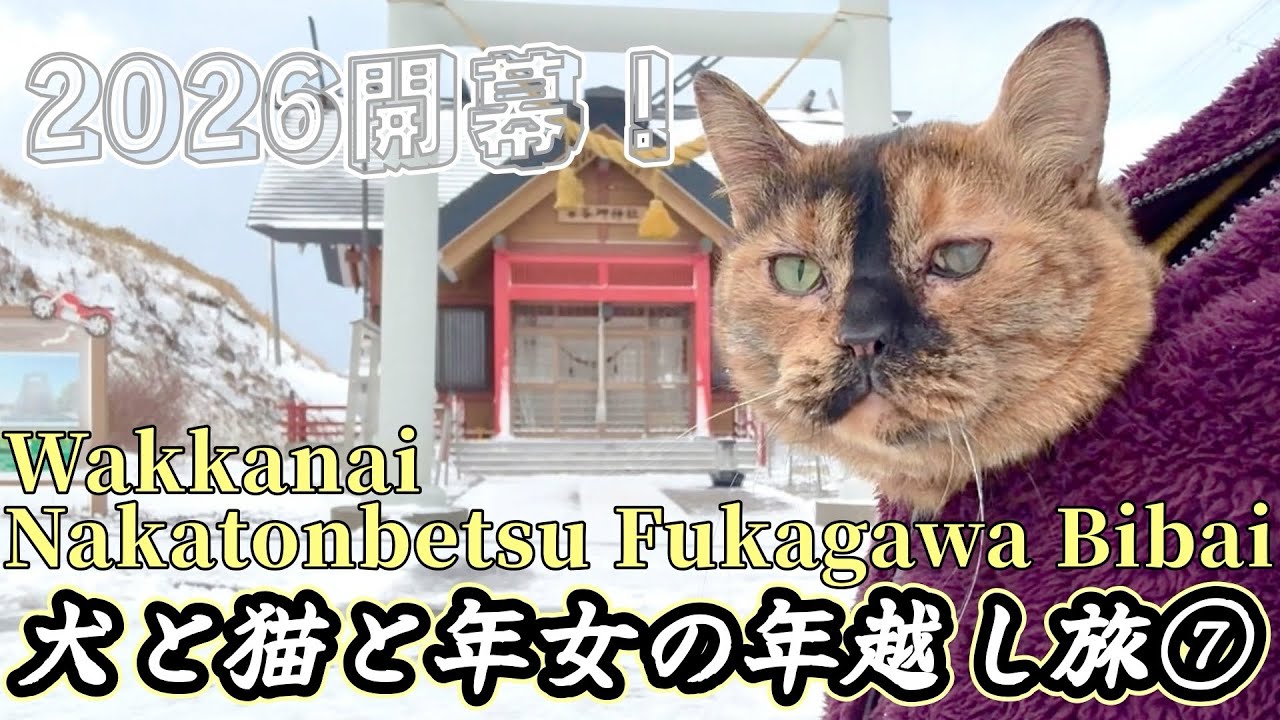 【年越し旅/北海道⑦】犬と猫とわたしの車旅〜至極の元日(私の場合)😍走ります‼️〜
