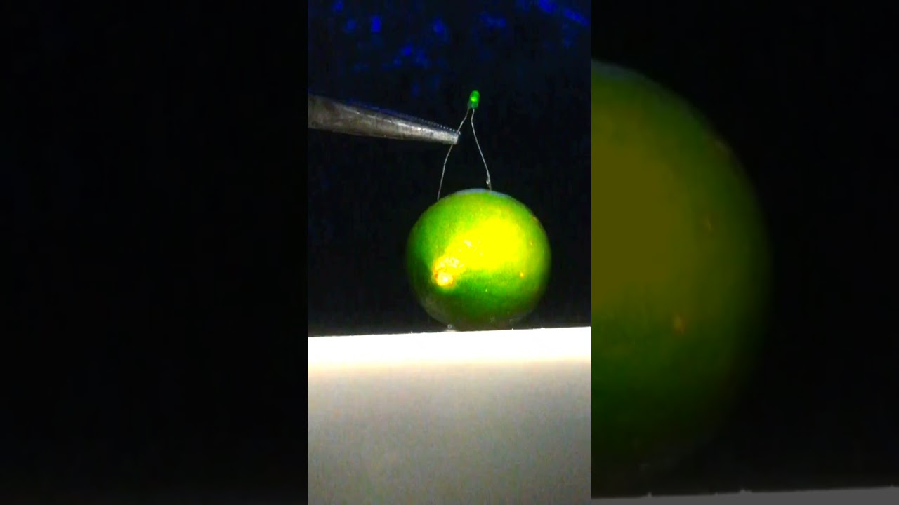 লেবু 🍋 দিয়ে বিদ্যুৎ তৈরি 😱😱 #scinceexperiment #2bscience #shoortsfeed