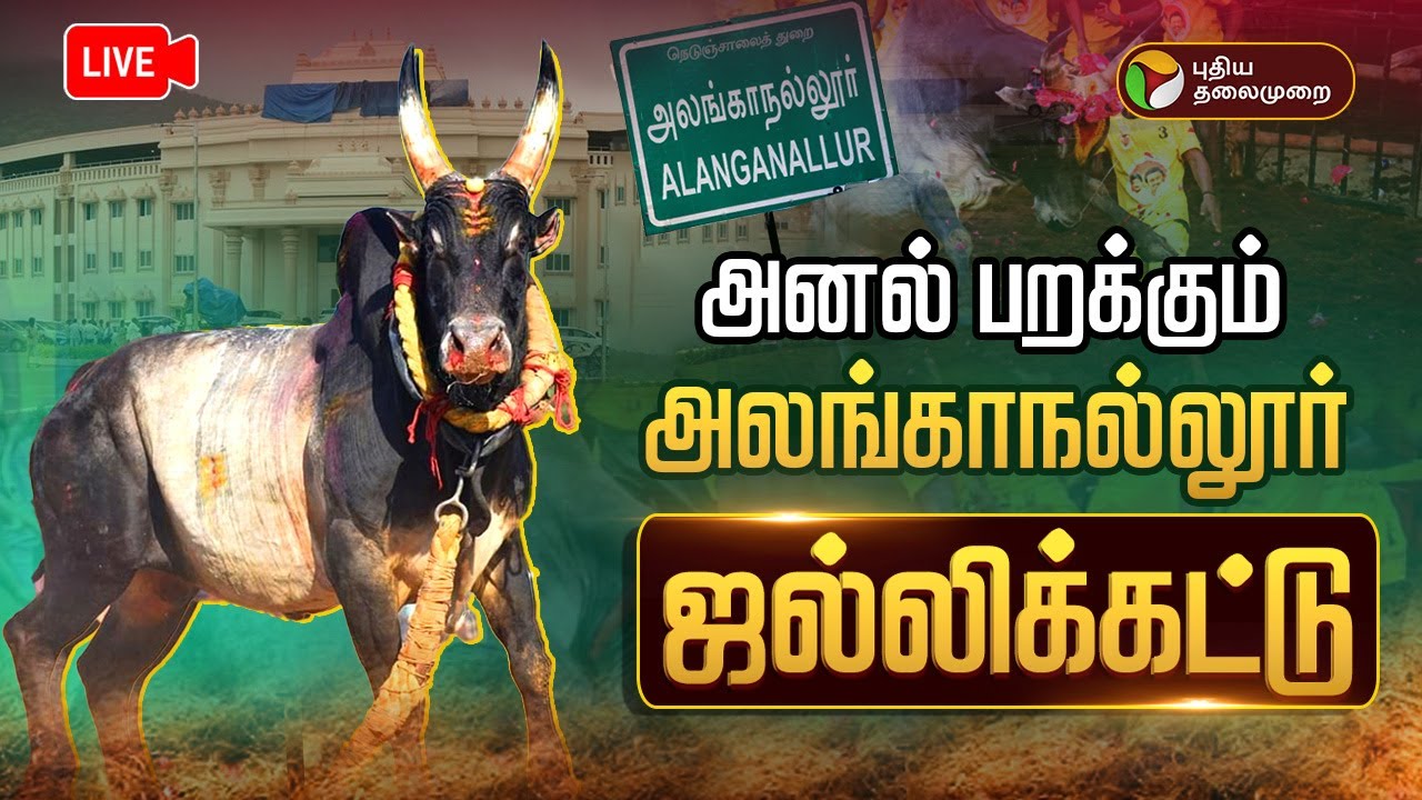 🔴LIVE: Alanganallur Jallikattu 2025 | தட்டிவிடு.. செதறவிடு.. அலறும் அலங்காநல்லூர் ஜல்லிக்கட்டு