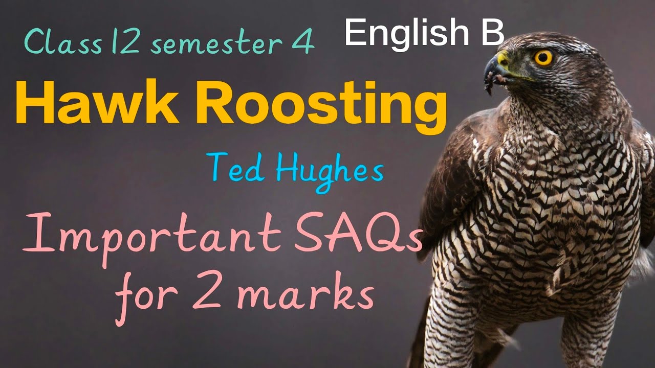 Important SAQs | Hawk Roosting | Ted Hughes | Class 12 semester 4|