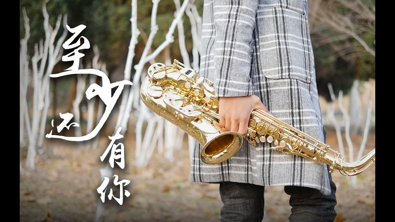 At Least You Are There《至少还有你》【峰源萨克斯】