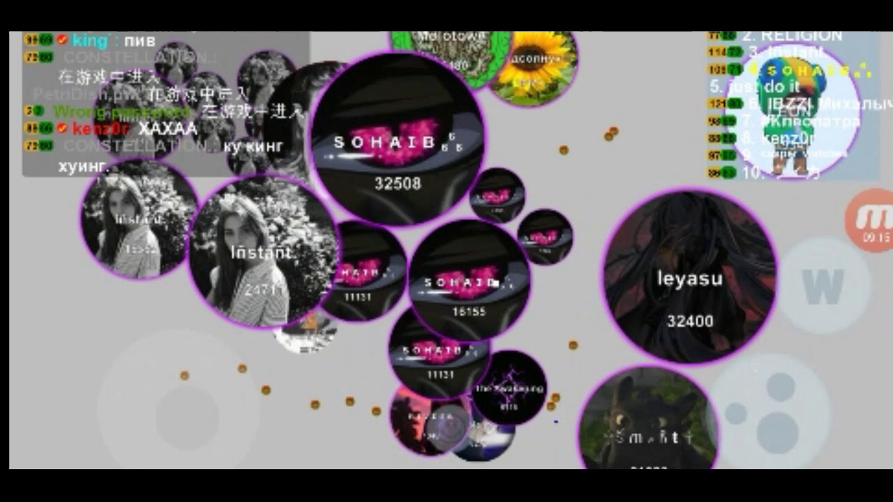 PETRI DISH - THE END -