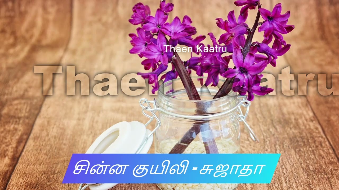 சின்ன குயிலி - சுஜாதா | chinna kuyili  | Thaen Kaatru | sujatha's audiobooks