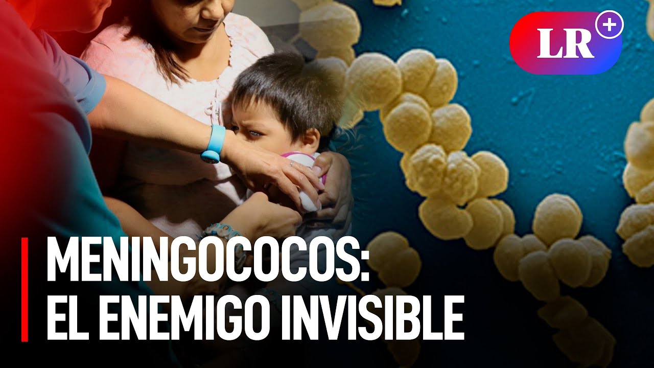 ¿Qué es el MENINGOCOCO CEPAB y EN QUÉ CASOS puede SER LETAL?
