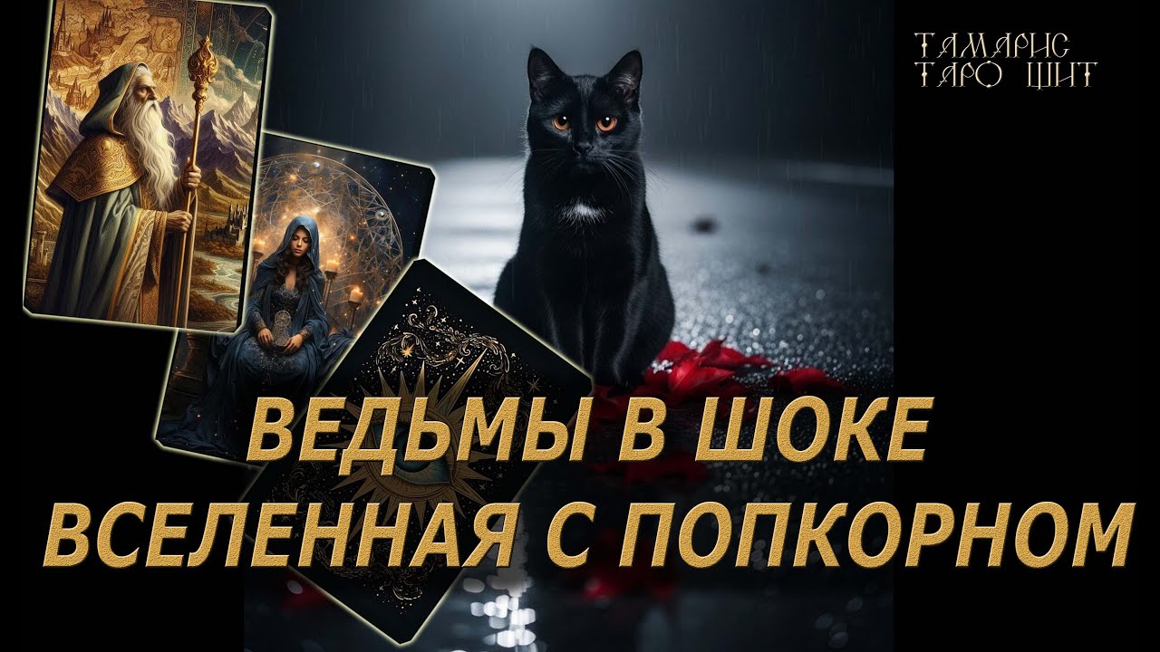 Ведьмы в шоке вселенная с попкорном🔥 🔮 🔥 #таро#tarot#gadanie#онлайн#гадание