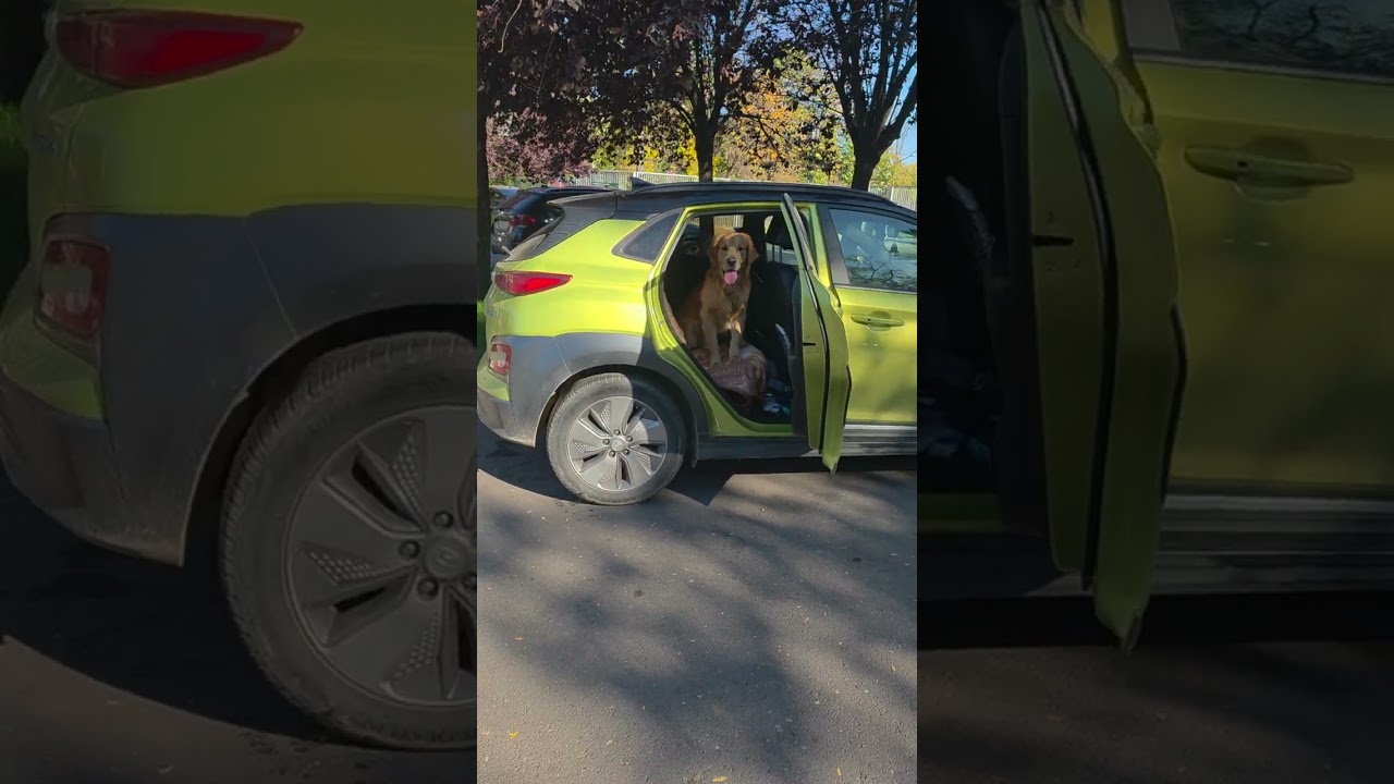 Urcarea și coborârea din mașină.  O problemă?