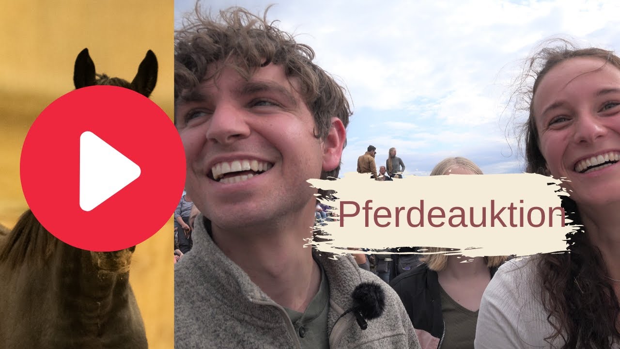 Pferdeauktion | Wir ersteigern ein Pferd ?! Neues Projekt STEP ONE