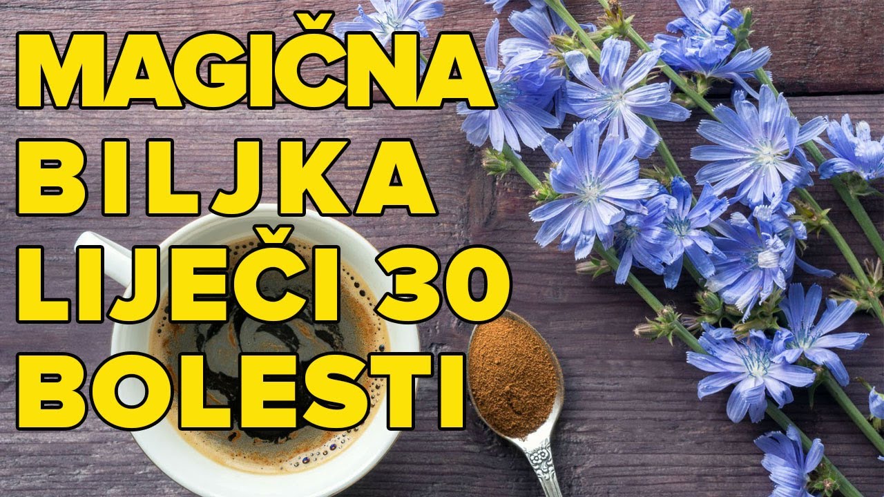 ČISTI JETRU, SLEZENU, BUBREGE, OTKLANJA UMOR - REGULIŠE ŠEĆER I PROBAVU! Dr Mihajlović