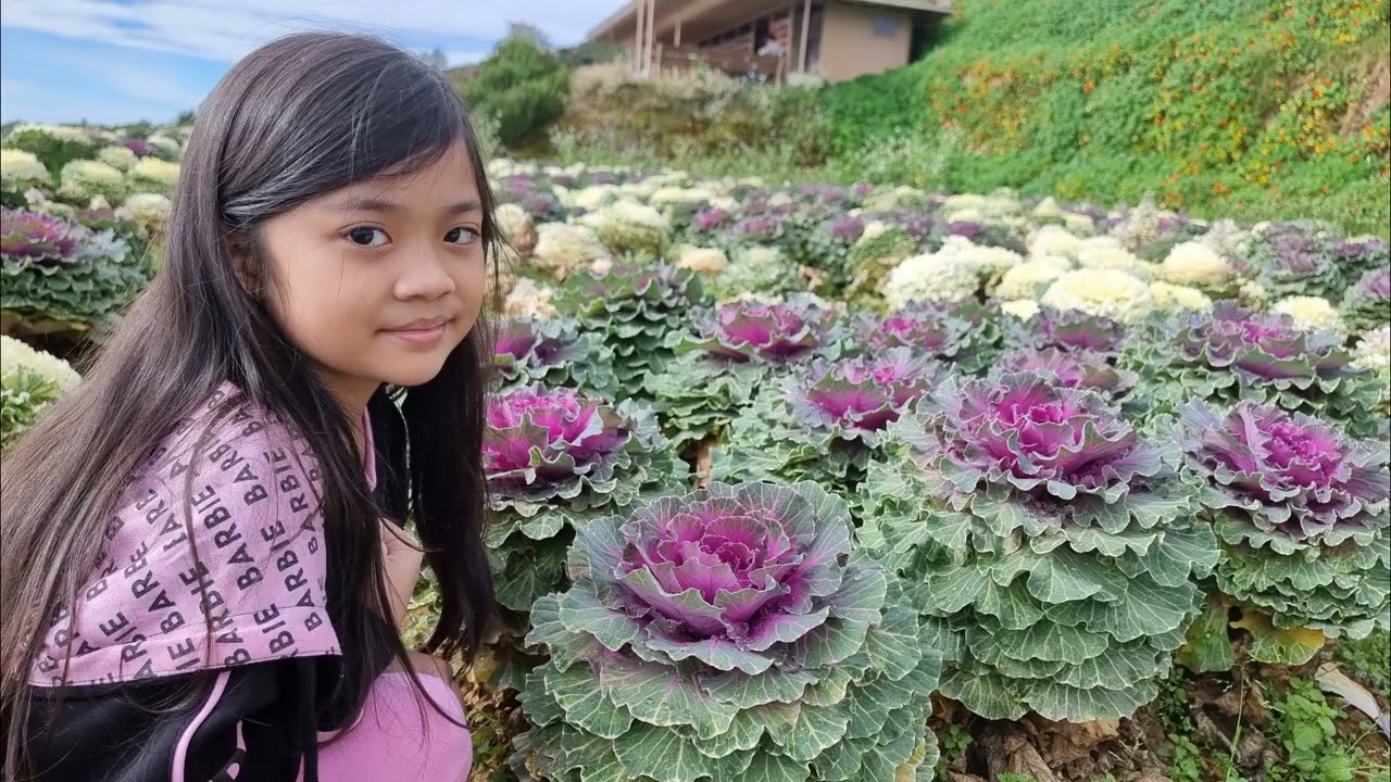 Baguio 2022