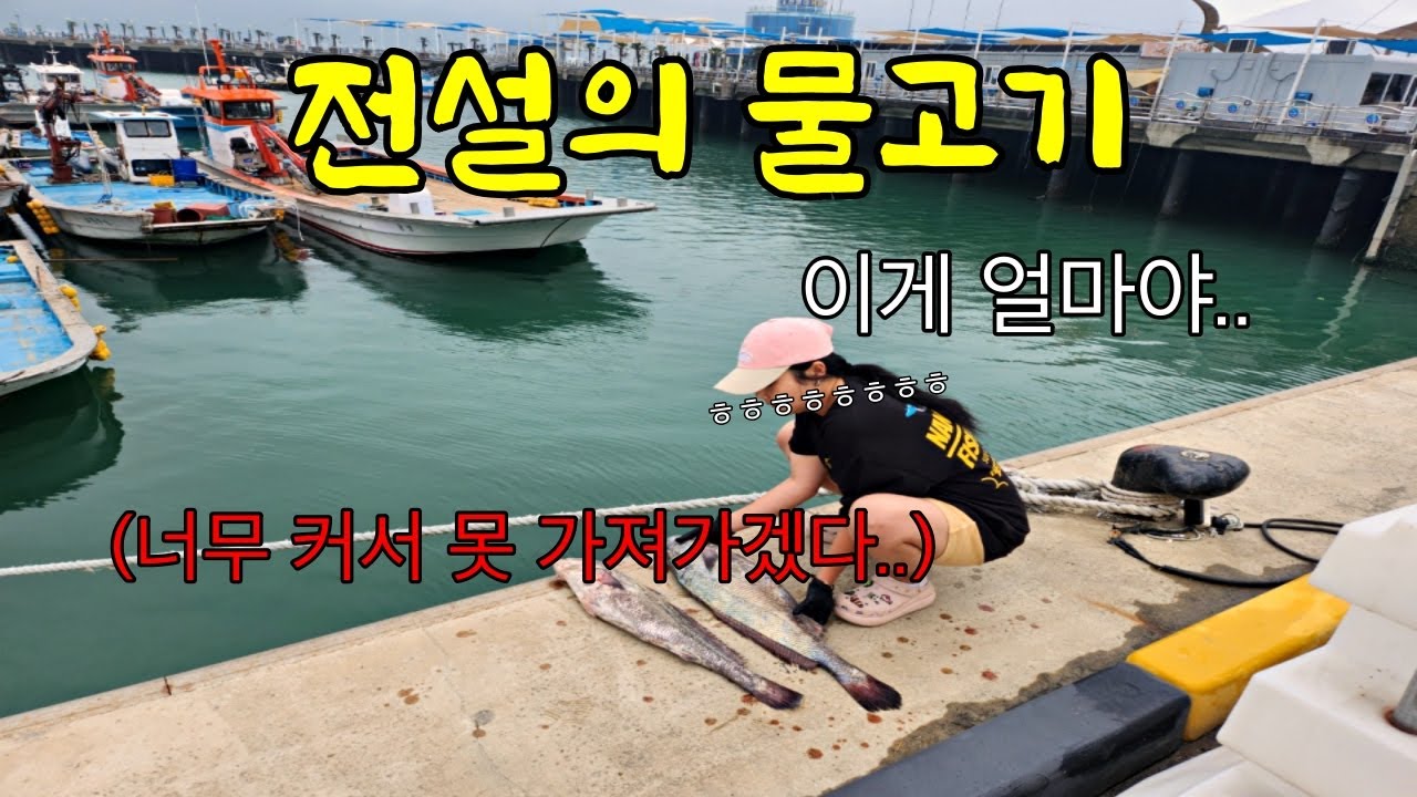 한 마리도 귀한데.. 이 귀한 물고기를 두 마리나.... 산낙지 한 마리를 통째로 먹고 나오는 여름철 최고의 바다 보양식