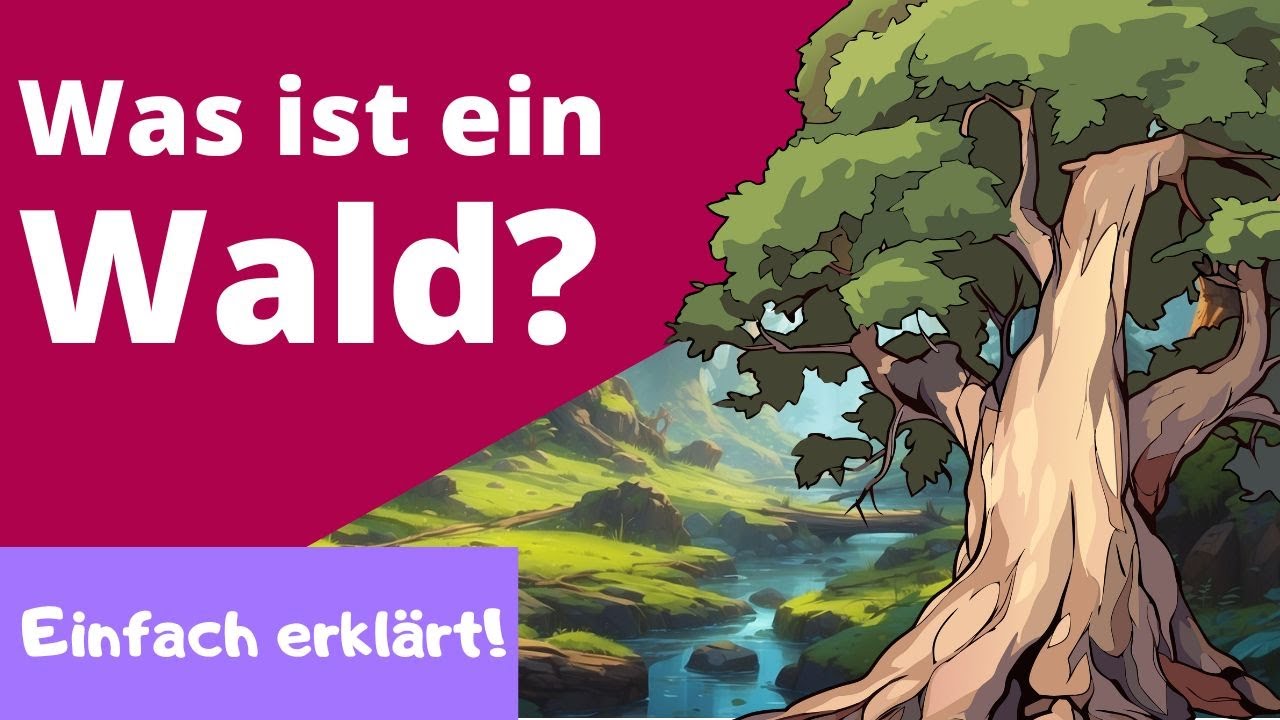 Was ist ein Wald? - Lern- und Erklärvideo für Grundschul-Kinder.