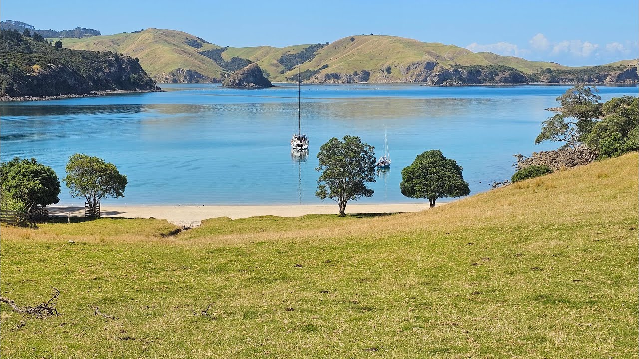 Trip to Te Kouma Harbour, & Tech disasters!
