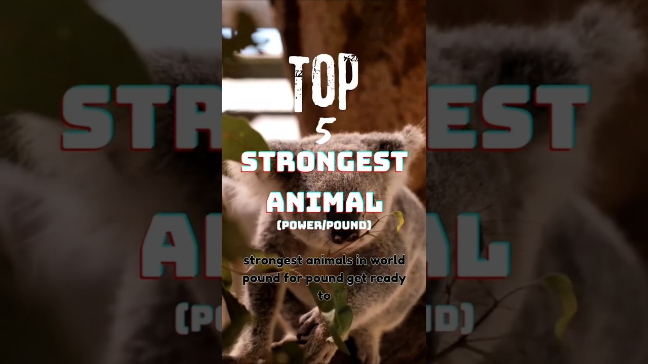 These beasts are the strongest in the world - no.1 Defies physics 