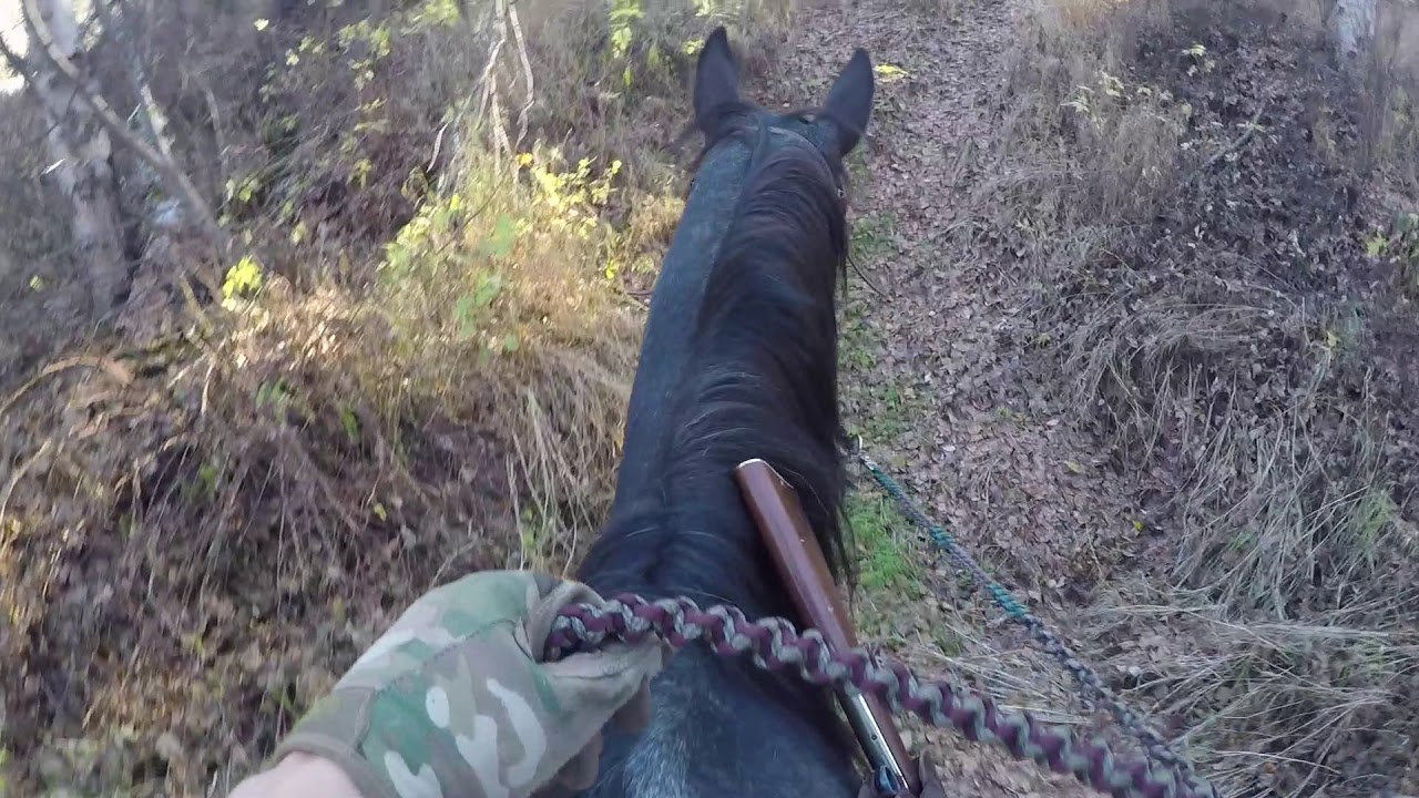 Horse Tack, The Perfect Saddle and Setup for Horseback Hunting and Camping