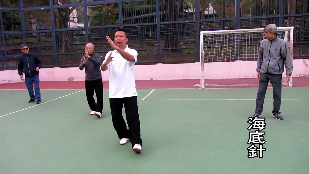 吳家鄭式太極拳方拳119式(2/6)