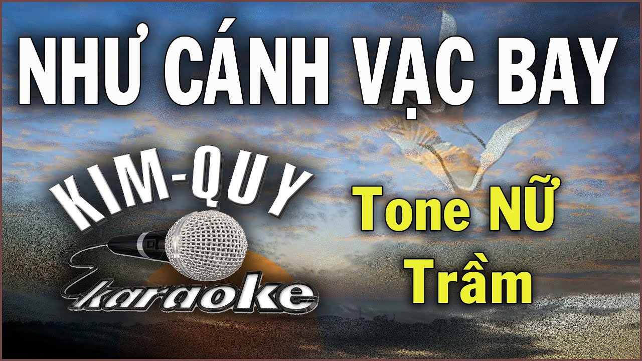 NHƯ CÁNH VẠC BAY - KARAOKE - Tone NỮ Trầm ( Bm/Si Thứ )