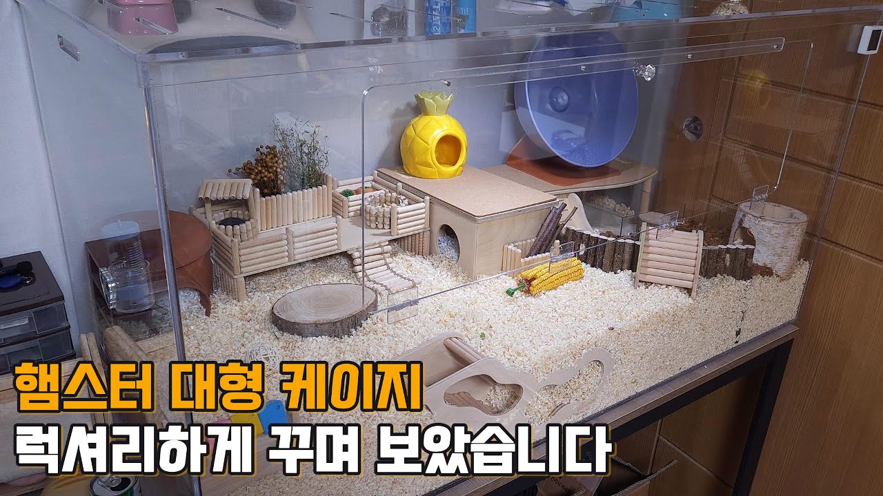 햄스터 대형 케이지를 럭셔리하게 꾸며보았습니다
