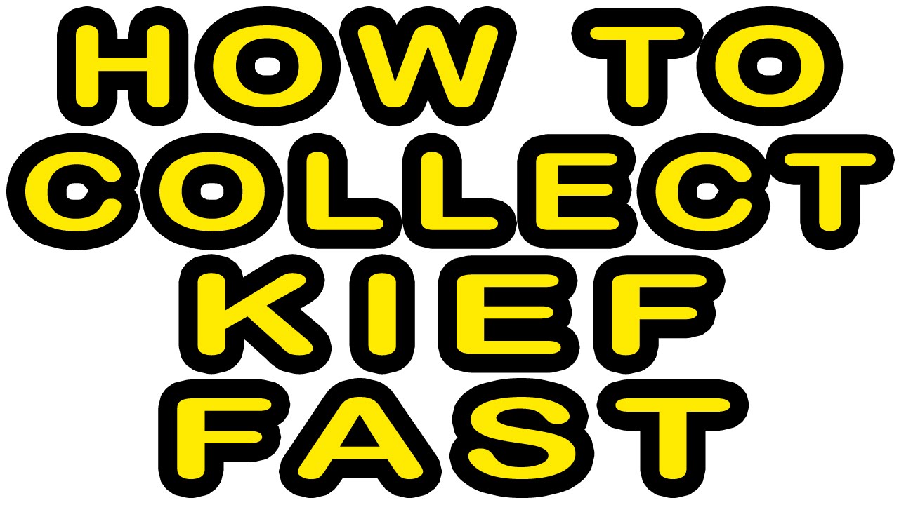 HOW TO COLLECT KIEF FAST!!!!