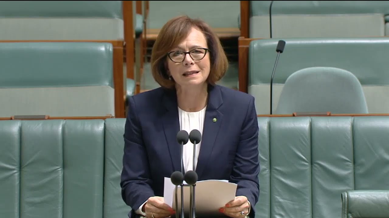 Communications Leg'n Amdt (Combatting Misinformation and Disinformation) Bill 2024 - Second Reading