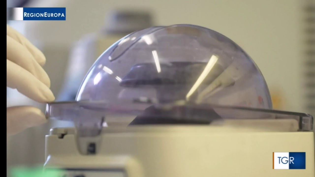 La malattia di Parkinson oggi