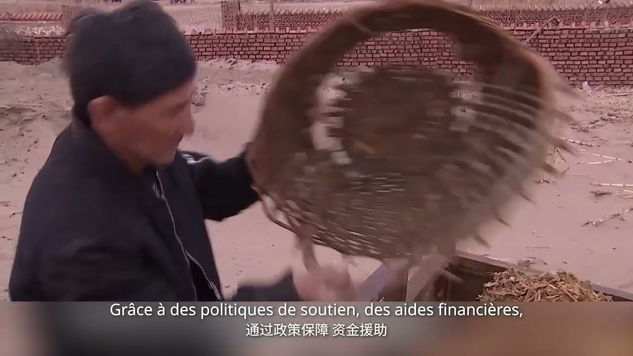 Du sable à l'or : tout grâce au « commandant bœuf ».