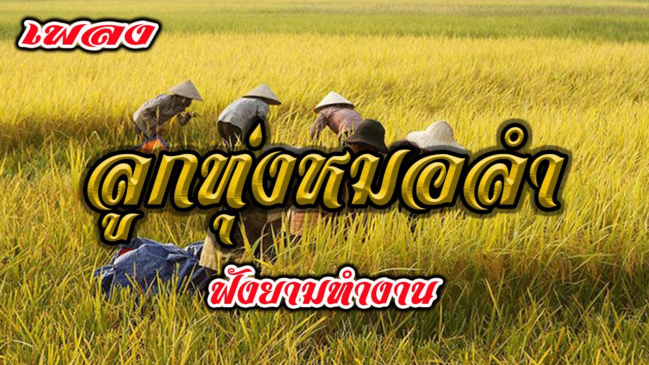 เพลงลูกทุ่งหมอลำ ฟังยามทำงาน