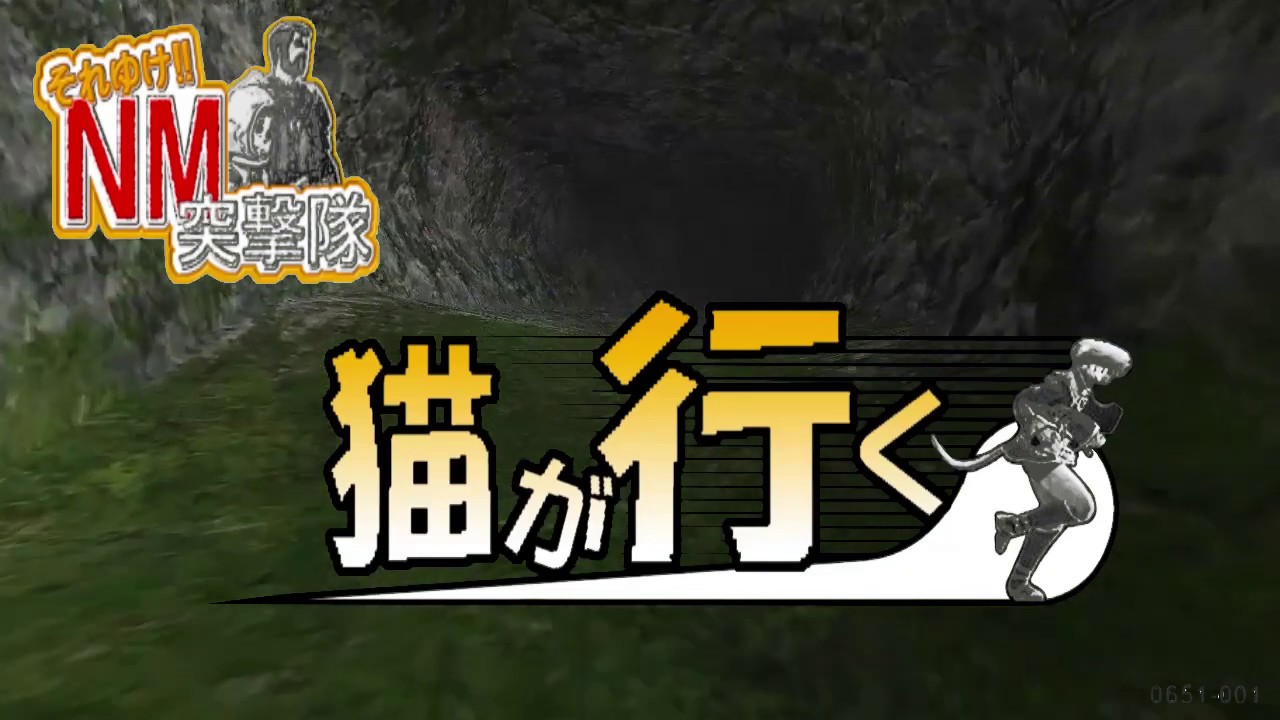 FF11　それ行けＮＭ突撃隊　猫が行く Shatterskull Mippdapp