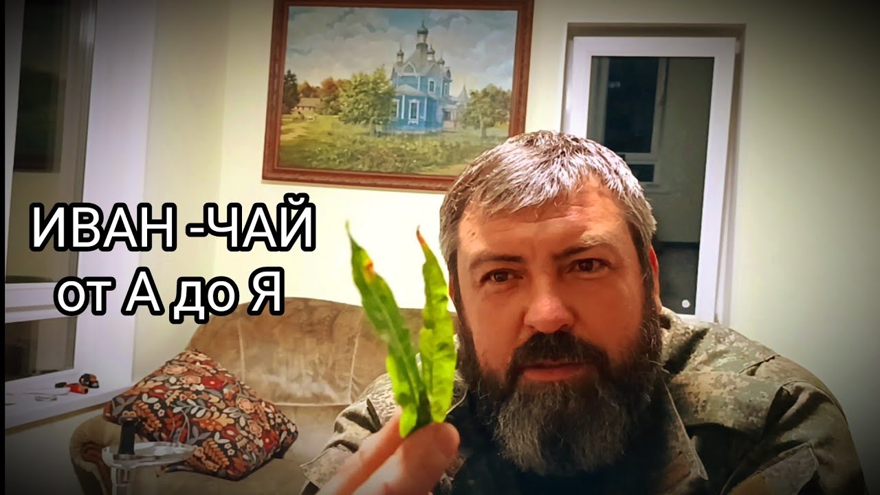 ИВАН-ЧАЙ!!! БЫСТРО,ПРОСТО,ВКУСНО/
