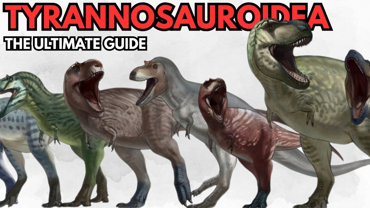 Tyrannosaurs Were INSANE! Size, Phylogeny, & Physiology of the Tyrant Lizards