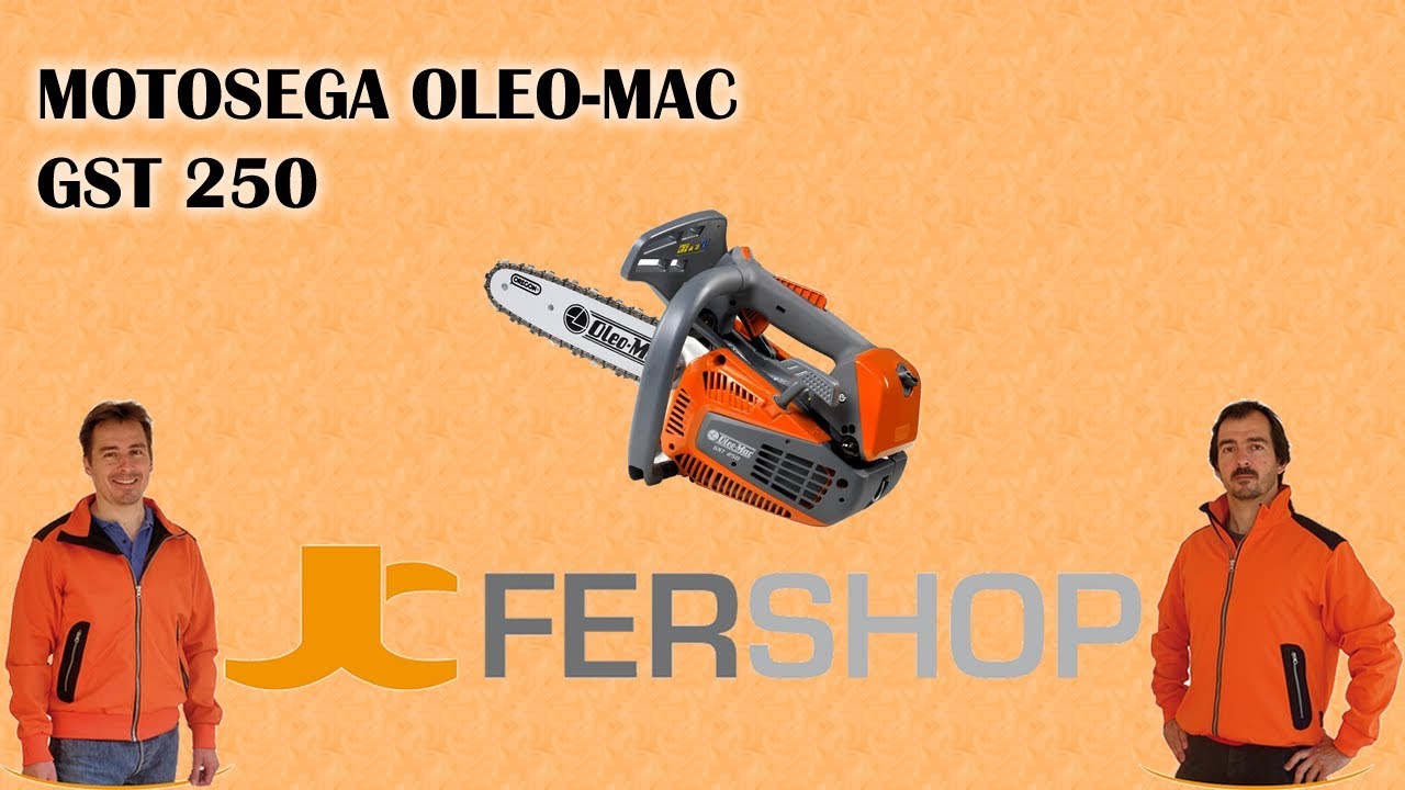 MOTOSEGA OLEO MAC GST 250